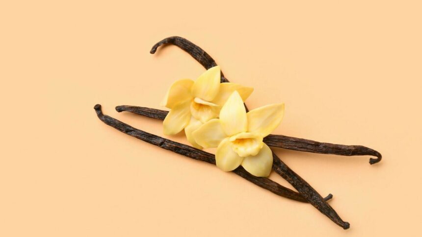 img Vanilie – Tot ce trebuie să știi despre această plantă exotica