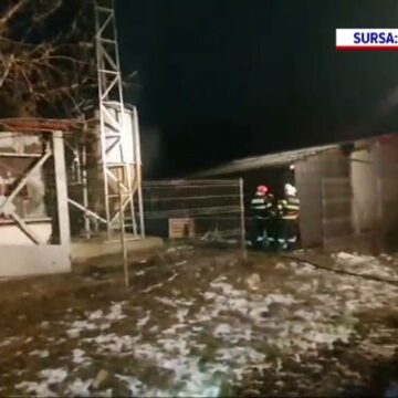 Incendiu devastator la o fermă de porci din Suceava
