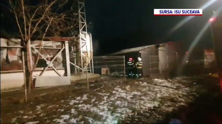 img Incendiu devastator la o fermă de porci din Suceava
