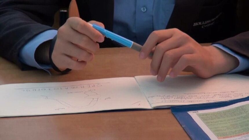 img Profesorii și meditațiile: între integritate și legalitate