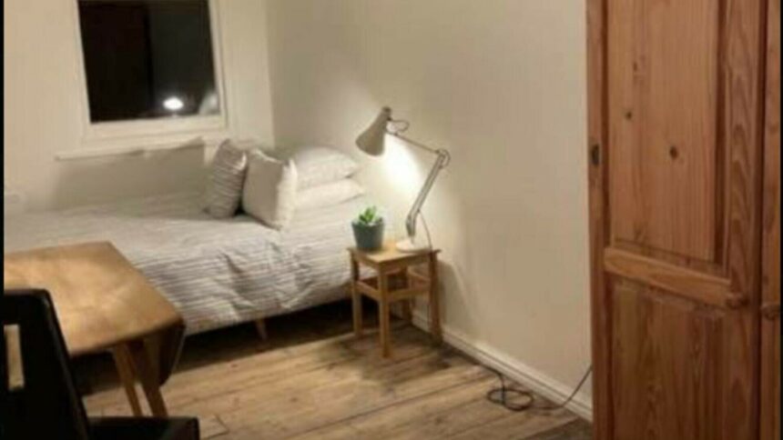 img Anunțul de închiriere a unei camere cu 1.600 € a devenit viral