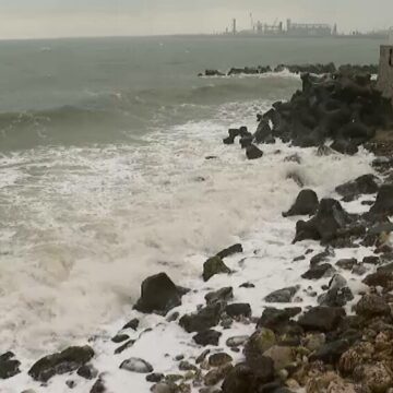 img Spuma mării pe litoralul românesc în timpul iernii