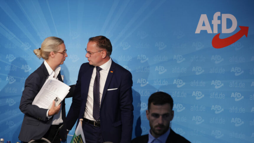 img Partidul german de extremă dreapta AfD riscă amenzi de milioane de euro în urma unei presupuse donații ilegale