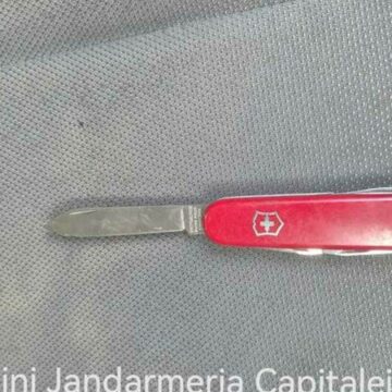 img Protest în Piața Constituției – Doi protestatari prinși cu spray lacrimogen și un briceag