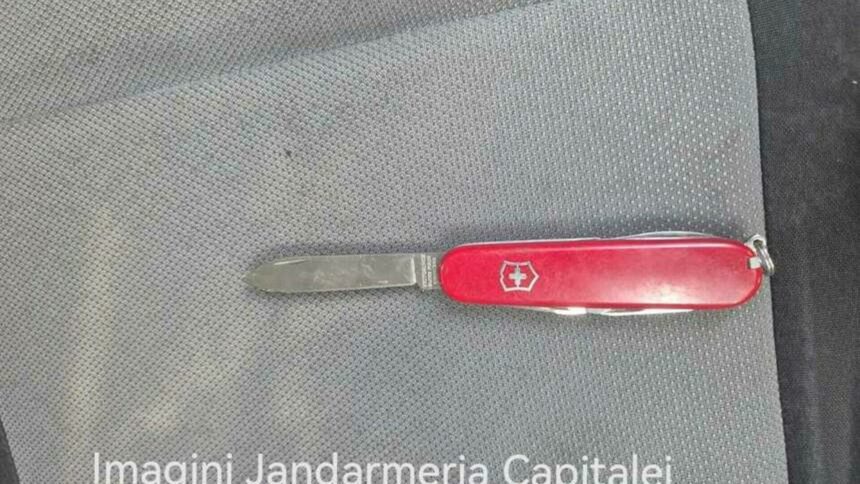 img Protest în Piața Constituției – Doi protestatari prinși cu spray lacrimogen și un briceag