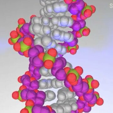 img Doctor de bine. Ediția integrală din 23 februarie 2025
