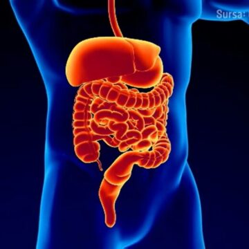 img Obiceiuri alimentare nesănătoase – Cum ne inflamăm organismul fără să ne dăm seama