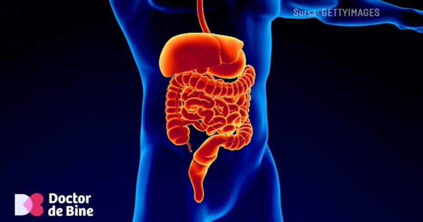 img Obiceiuri alimentare nesănătoase – Cum ne inflamăm organismul fără să ne dăm seama