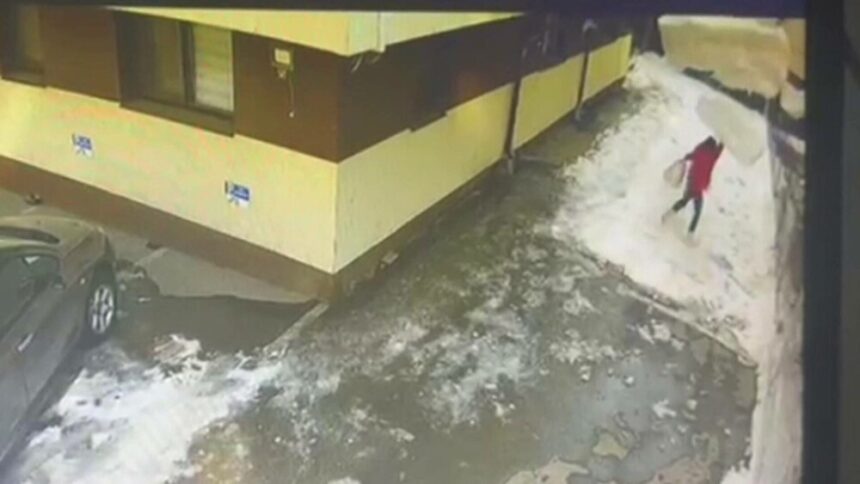 img Cine va răspunde în cazul femeii ucise de o bucată de gheață căzută de pe bloc în Chiajna