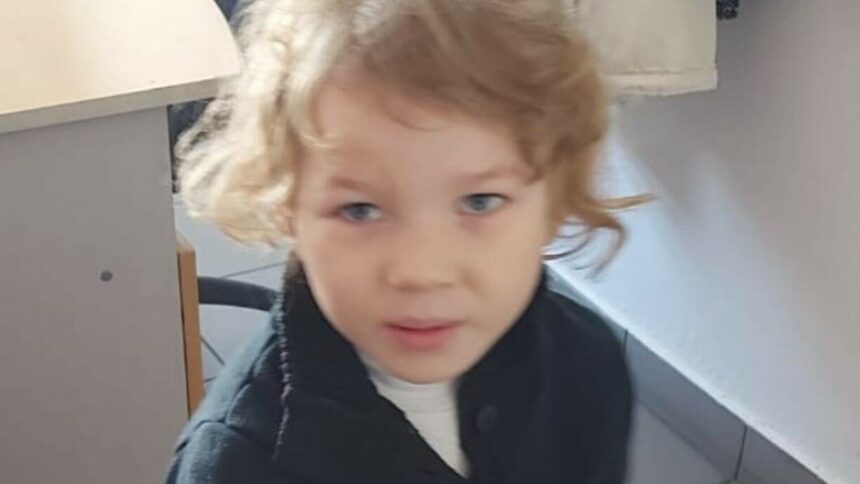 img Fetiță de 4 ani din Hunedoara și bunica ei dispărute și găsite de polițiști