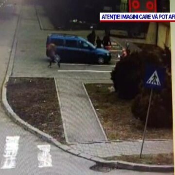 img Situația alarmantă din Băilești, județul Dolj, terorizat de haite de câini