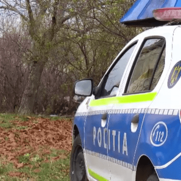 Individ cercetat pentru omor calificat după ce a îngropat o persoană sub o stivă de lemne și i-a dat foc