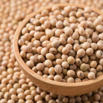 img Beneficiile consumului de soia – proprietăți, utilizare și contraindicații
