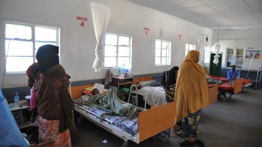 img Impactul suspendării ajutorului american în Africa: milioane de vieți sunt în pericol