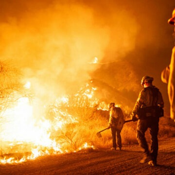 img Gala caritabilă MusiCares Person of the Year înaintea decernării premiilor Grammy