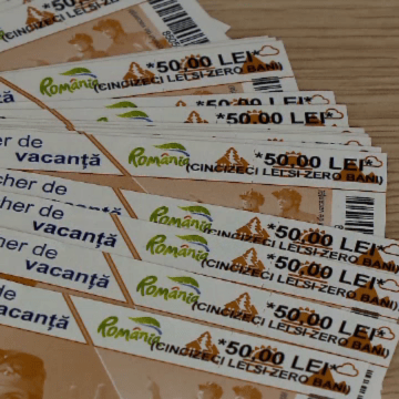 img Voucherele de vacanță: o contribuție personală conform ordonanței trenuleț