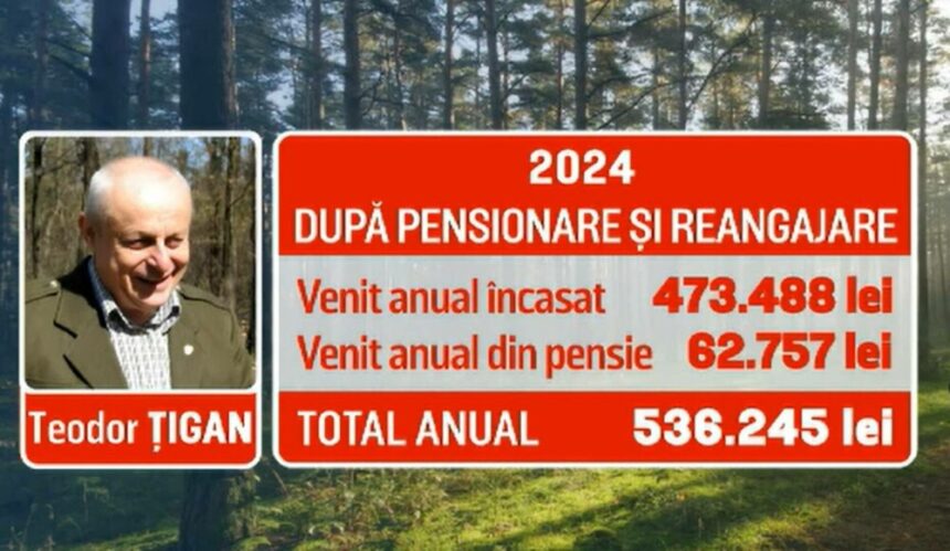 img Reangajarea lui Teodor Țigan la șefia Direcției Silvice Arad și scandalul Romsilva