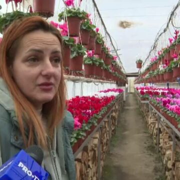 img Cursa pentru buchetul perfect de Ziua Îndrăgostiților