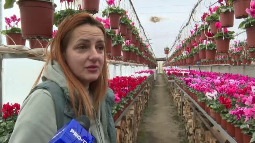 img Cursa pentru buchetul perfect de Ziua Îndrăgostiților