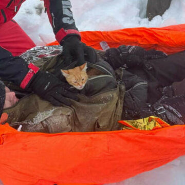 img Poveștile crâncene ale dezertorilor ucraineni care fug prin zăpezile Carpaților în România