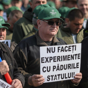 img Protest al sindicaliștilor de la Romsilva în fața Ministerului Mediului: „Nu faceţi experimente cu pădurile statului”