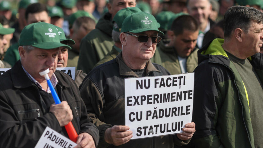 img Protest al sindicaliștilor de la Romsilva în fața Ministerului Mediului: „Nu faceţi experimente cu pădurile statului”