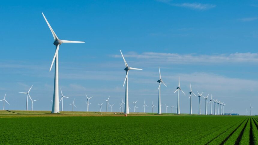 img Ministerul Agriculturii prelungește o schemă de ajutor pentru investiții în energie regenerabilă