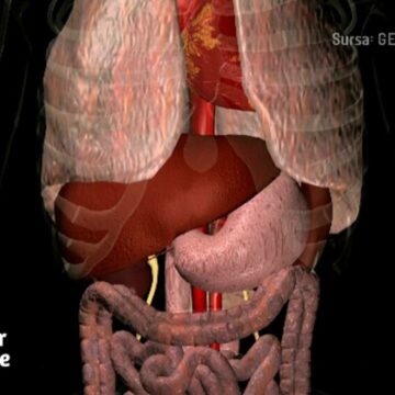 De ce este esențial să aruncăm apa în care au fiert legumele, explică un expert în ingineria mediului