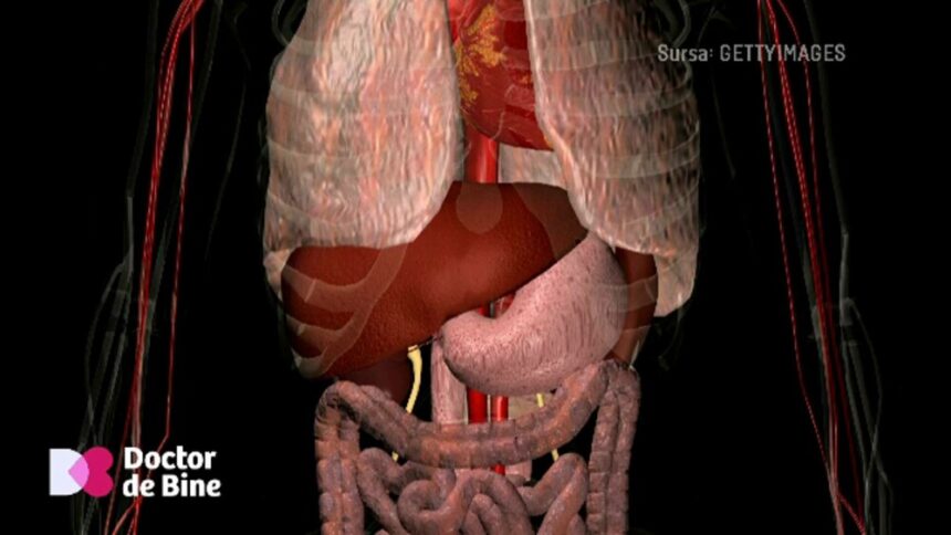 img De ce este esențial să aruncăm apa în care au fiert legumele, explică un expert în ingineria mediului