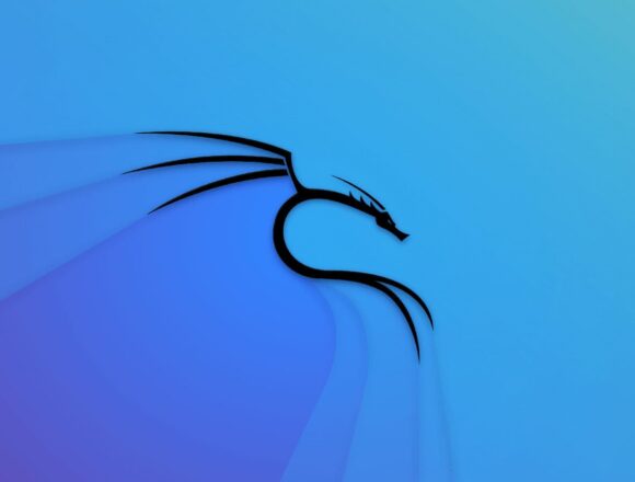Lansarea Kali Linux 2025.1a cu un nou instrument și un refresh al temei anuale