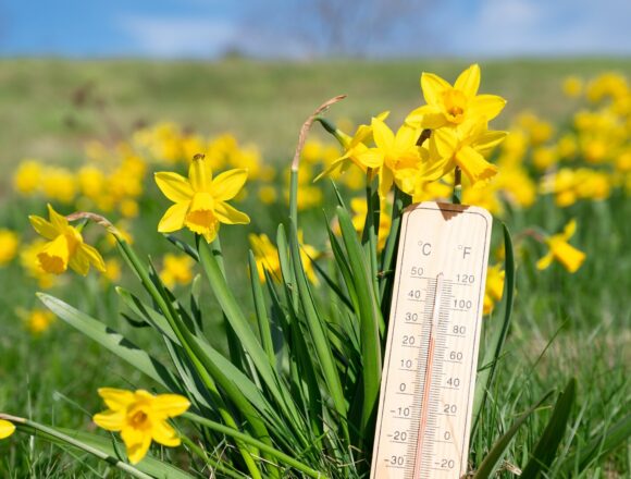 Prognoza meteo pentru 20 martie