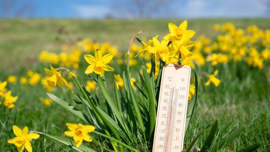 Prognoza meteo pentru 20 martie