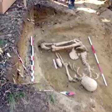 img Localitatea din România care devine treptat un El Dorado pentru paleontologi și antropologi