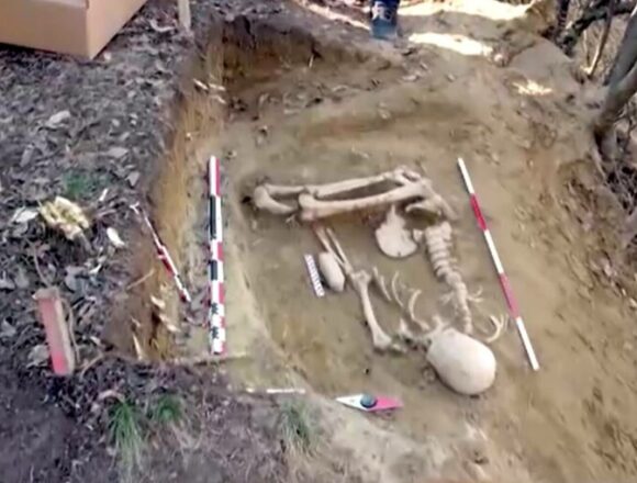 Localitatea din România care devine treptat un El Dorado pentru paleontologi și antropologi