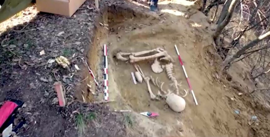 img Localitatea din România care devine treptat un El Dorado pentru paleontologi și antropologi