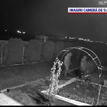 Banda de hoti sparge casele dintr-o comuna brasoveana si fura tot