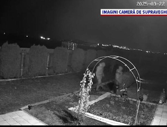Banda de hoti sparge casele dintr-o comuna brasoveana si fura tot