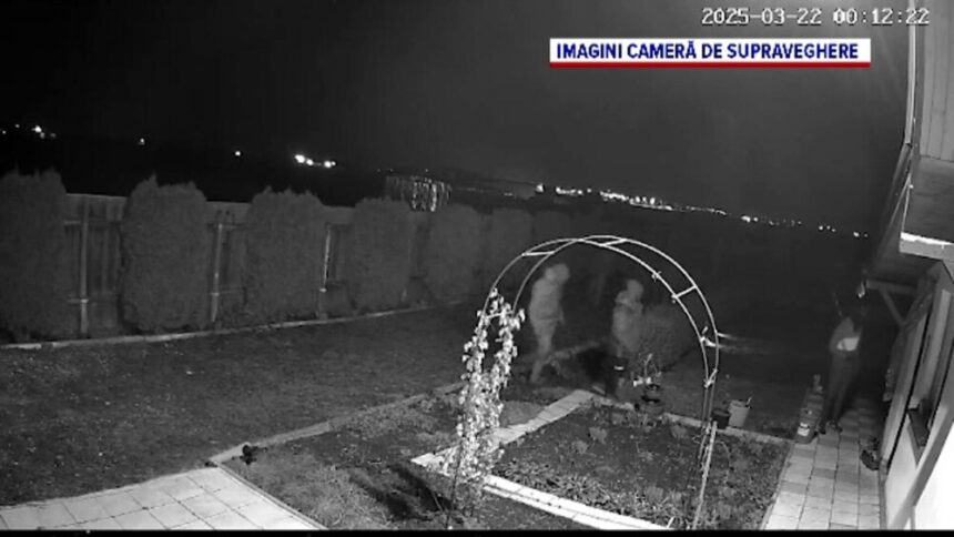 img Banda de hoti sparge casele dintr-o comuna brasoveana si fura tot