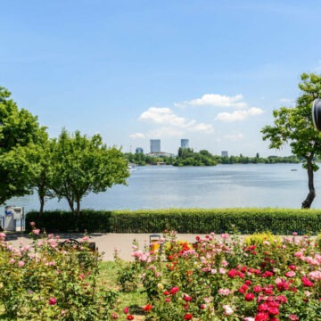 img Istoria Parcului Herăstrău din București