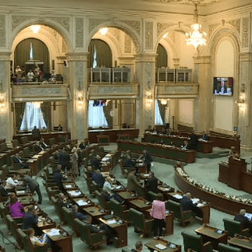 Disputa aprinsă în Senat privind proiectul pentru organizarea alegerilor din 2025