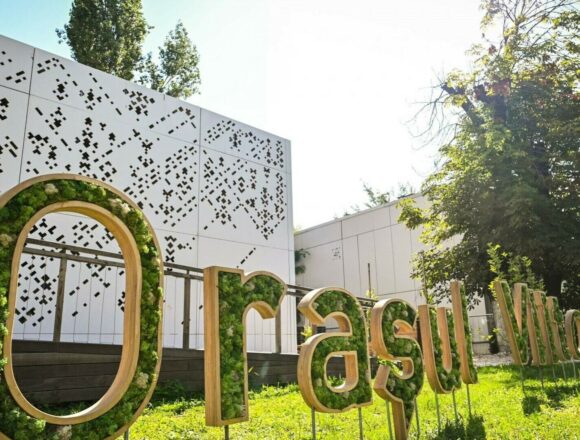 Cum un ONG din România pregătește tinerii pentru a conduce afaceri sustenabile în construcții