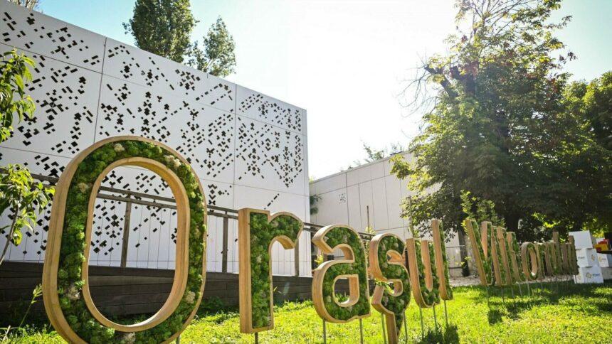 img Cum un ONG din România pregătește tinerii pentru a conduce afaceri sustenabile în construcții