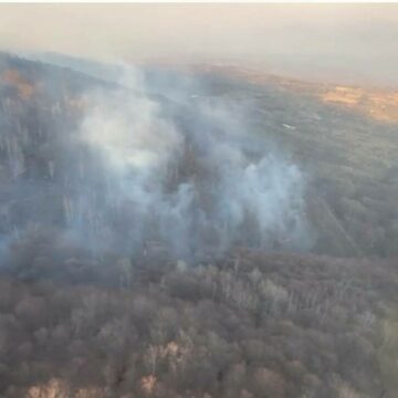 img Intervenția Forțelor Aeriene Române pentru stingerea incendiilor de vegetație