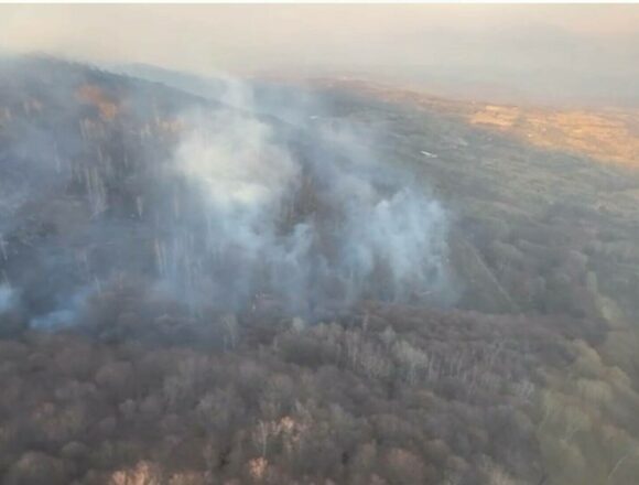 Intervenția Forțelor Aeriene Române pentru stingerea incendiilor de vegetație