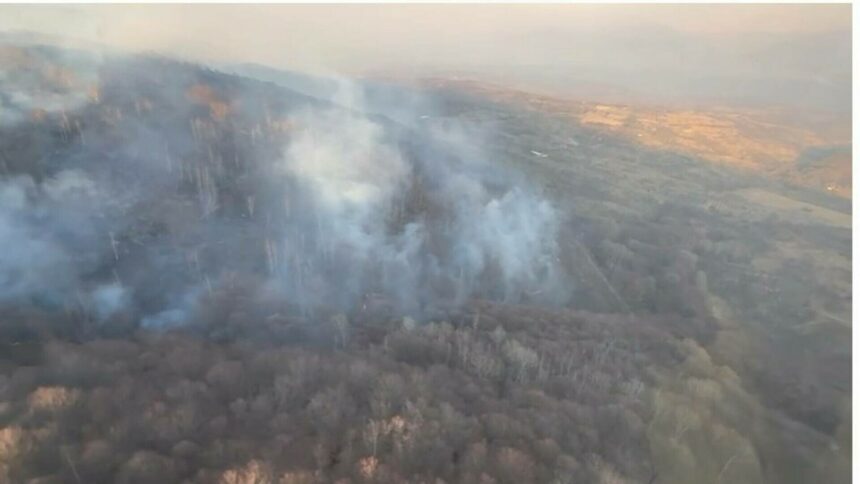 img Intervenția Forțelor Aeriene Române pentru stingerea incendiilor de vegetație
