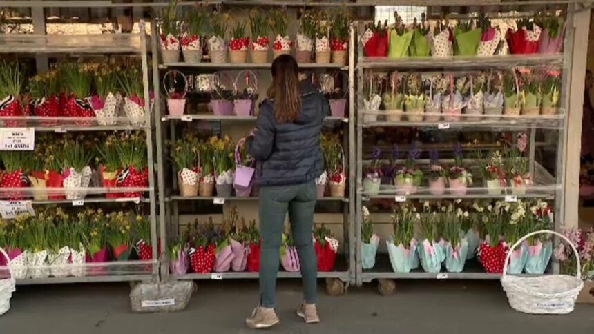 Vânzări record de 8 Martie în florării: O zi de răsfăț pentru femei