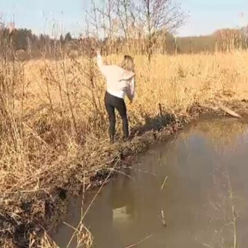 img Castorii din Cehia au făcut treaba autorităților