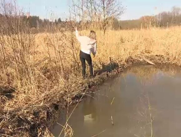 Castorii din Cehia au făcut treaba autorităților