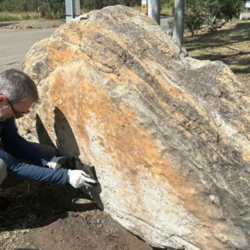 img Descoperire neașteptată într-un liceu din Australia