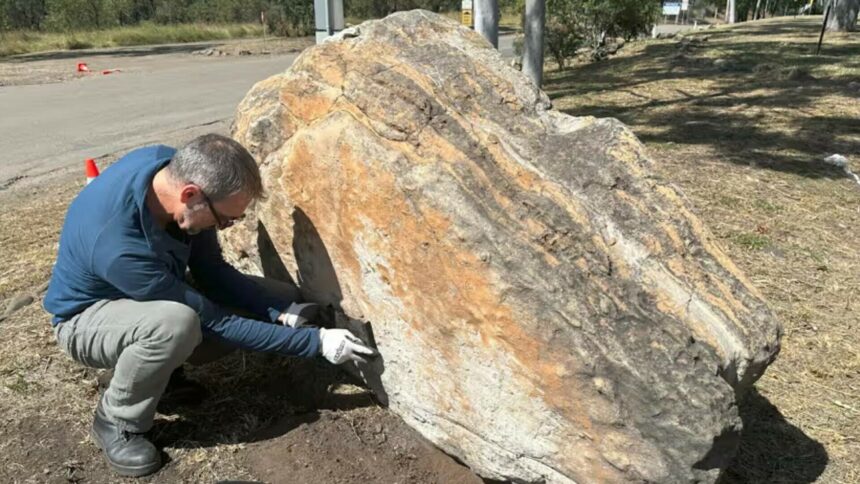 img Descoperire neașteptată într-un liceu din Australia